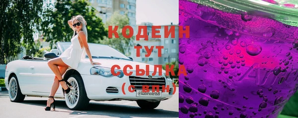 скорость Каменка